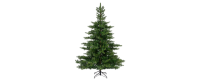 EVERLANDS Weihnachtsbaum Grandis 111 x 150 cm (Ø x H)