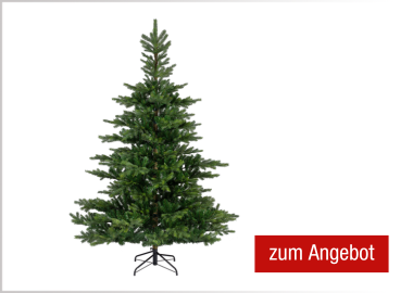 EVERLANDS Weihnachtsbaum Grandis 150 x 210 cm (Ø x H)