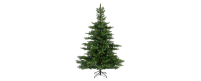 EVERLANDS Weihnachtsbaum Grandis 150 x 210 cm (Ø x H)