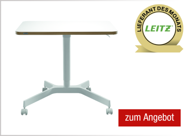 Leitz Schreibtisch Ergo 600 x 750-1.140 x 800 mm (B x H x T) pneumatisch